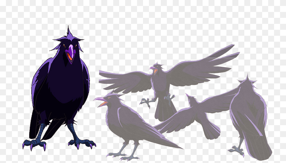 Anime Crow, Animal, Bird, Blackbird Png