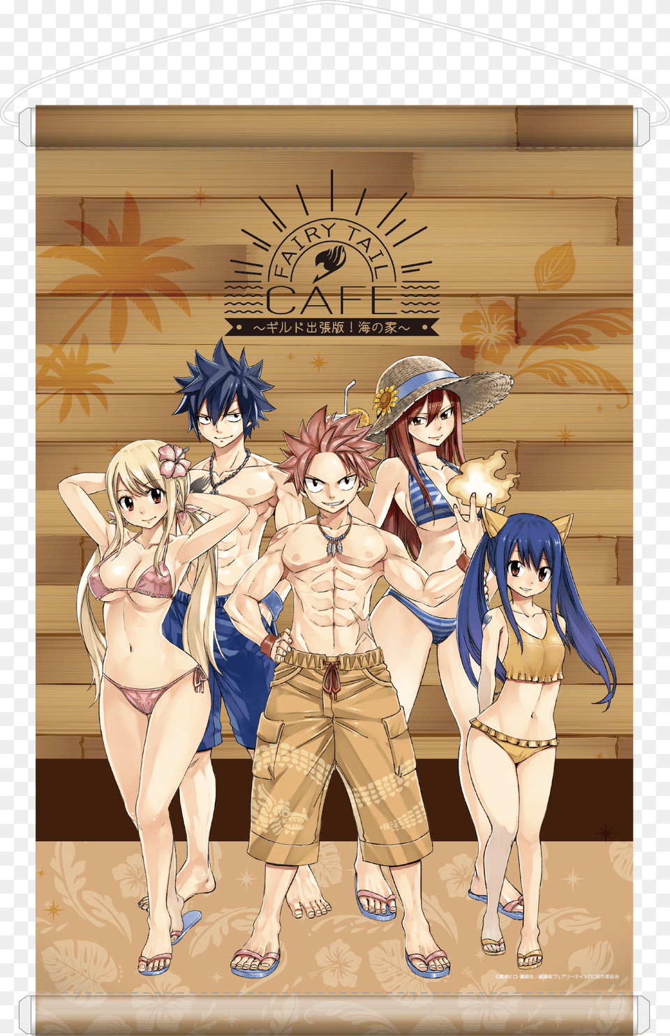 Anime Fairy Tail Team Natsu, Woman, Adult, Book, Publication Free Transparent Png