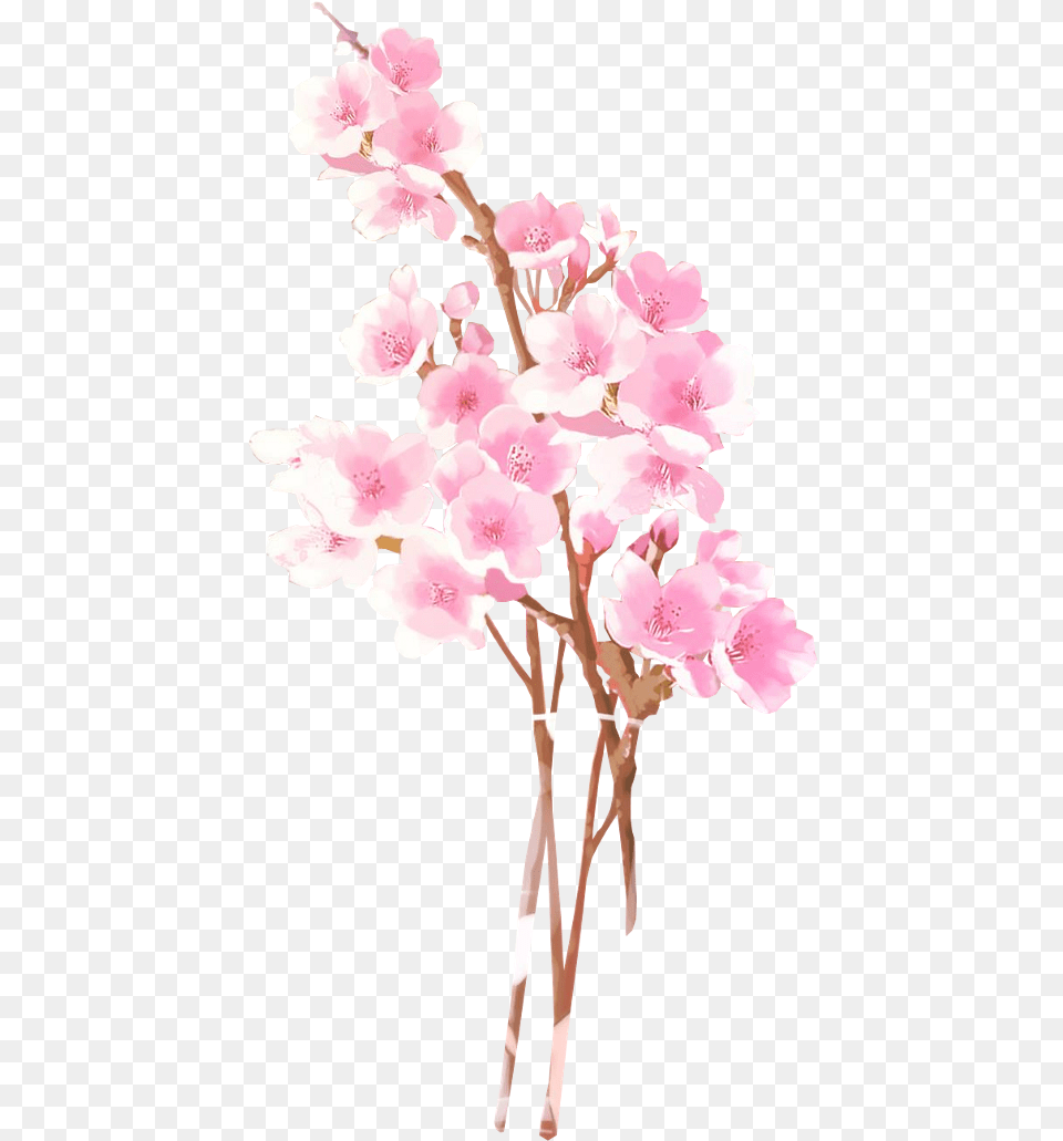 Anime Flowers Collections At Sccpre Anime Flowers, Flower, Plant, Petal, Cherry Blossom Free Png