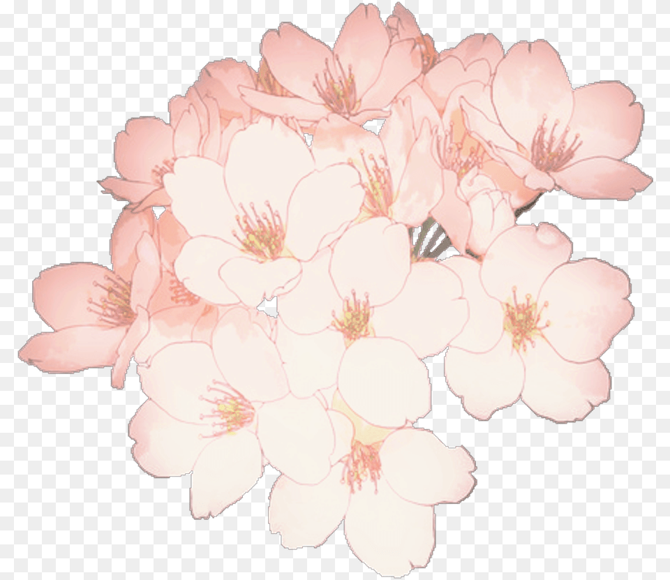 Anime Flowers Flower Aesthetic Tumblr Kpop Flower Drawing, Geranium, Plant, Petal, Cherry Blossom Free Transparent Png