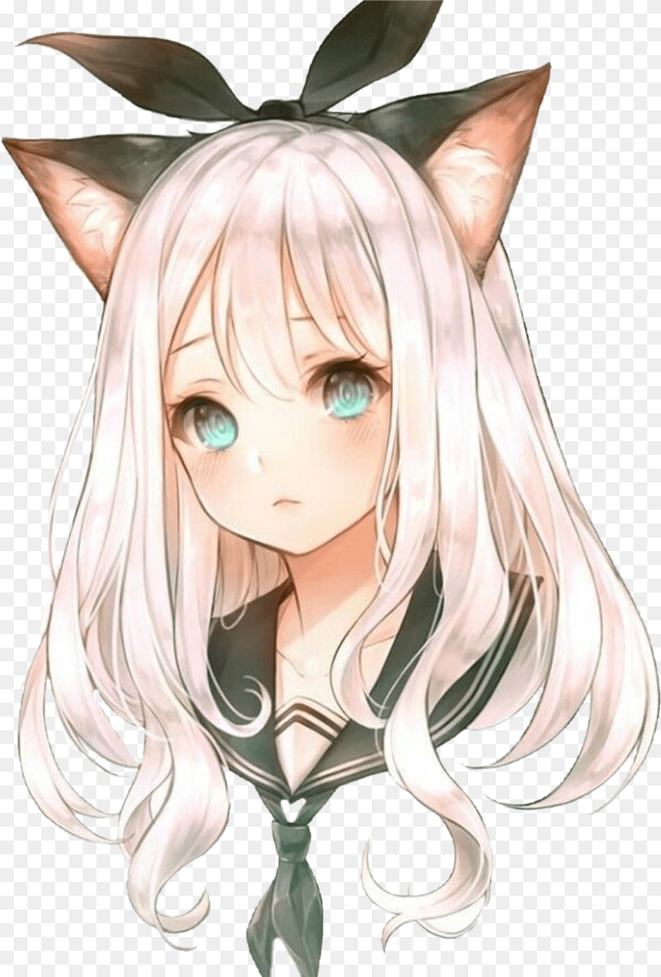 Anime Girl Cat Animecat Girlcute Animegirl Animecat Kawaii Anime Girls White Hair R, Book, Comics, Publication, Person Png