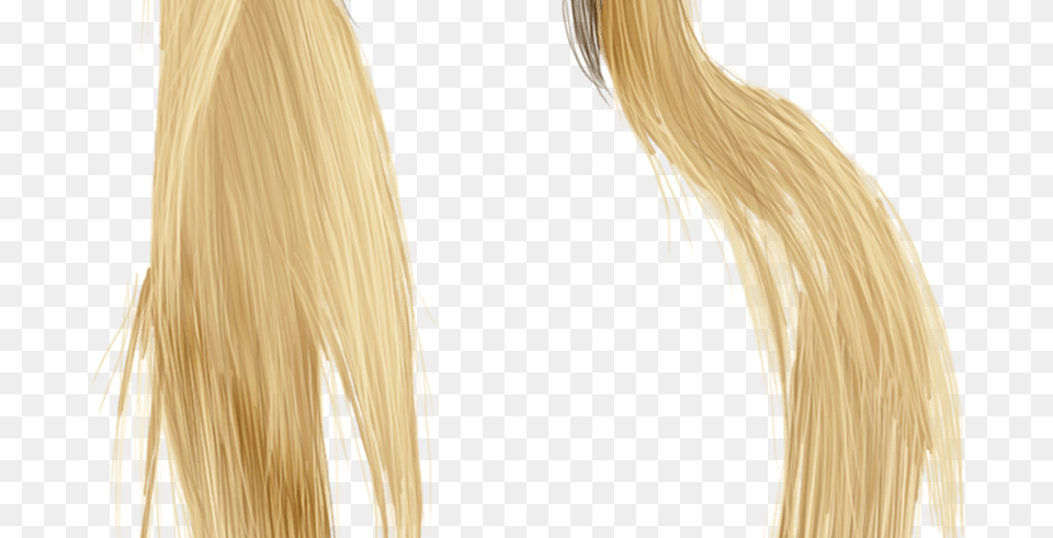 Anime Girl Hair For Download On Mbtskoudsalg Blond, Animal, Pet, Canine, Dog Png Image
