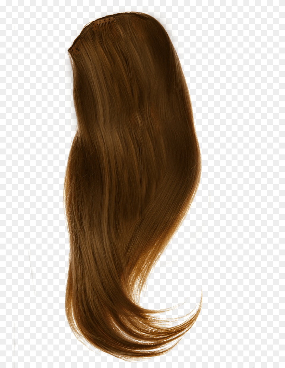 Anime Hair Long Front Hair, Adult, Person, Woman, Female Png