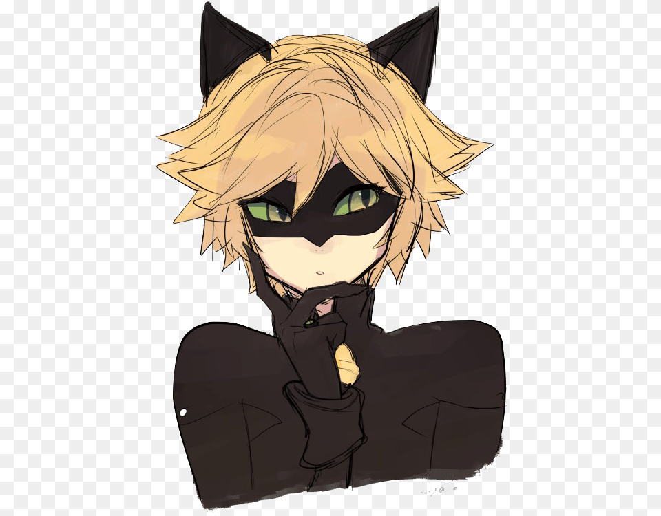 Anime Miraculous Cat Noir, Book, Comics, Publication, Baby Png Image