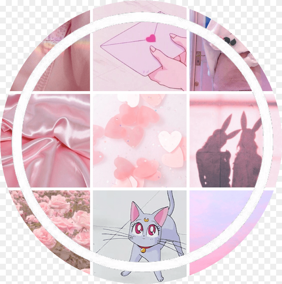 Anime Perfect Images Of Aesthetic Icons Pink Girly, Plant, Petal, Flower, Pet Png