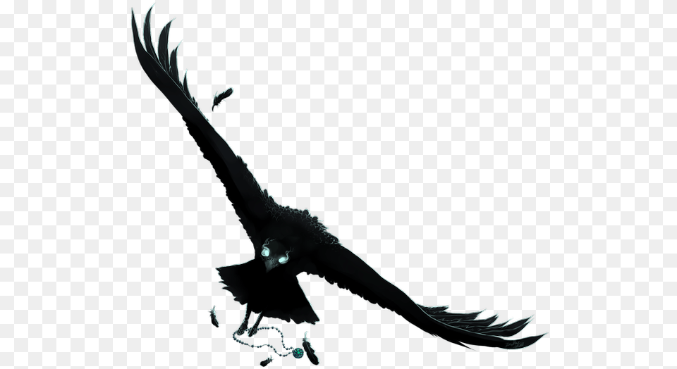 Anime Raven, Animal, Bird, Vulture, Blackbird Png