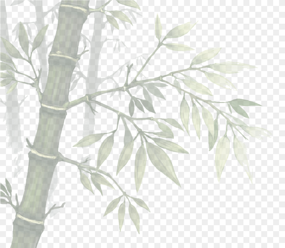 Anime Tree Branch, Bamboo, Plant, Blade, Dagger Free Png
