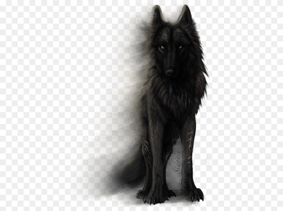 Anime Wolf Drawing, Animal, Mammal, Canine, Dog Free Png