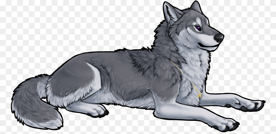 Anime Wolf Grey Anime Wolf, Animal, Canine, Dog, Husky Free Transparent Png