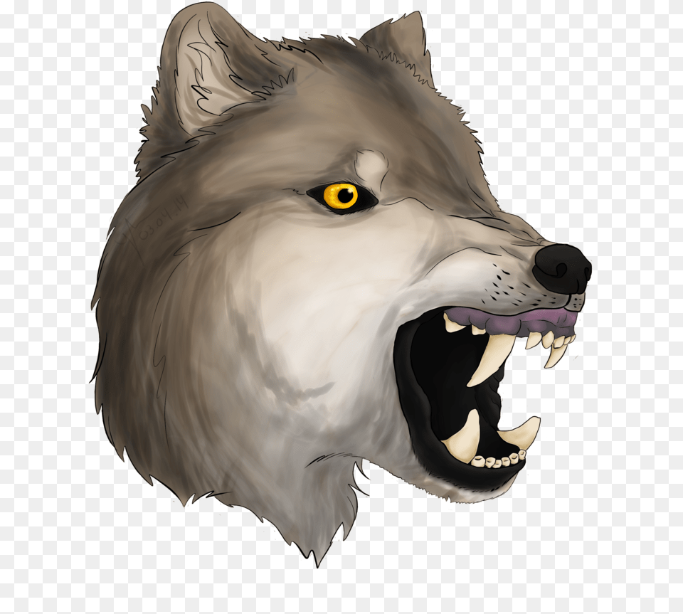Anime Wolf Head, Animal, Mammal, Baby, Person Free Png