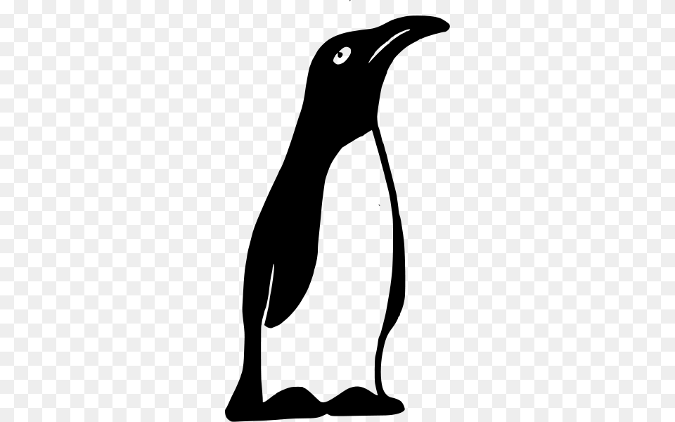 Animl Clipart Penguin, Gray Free Transparent Png