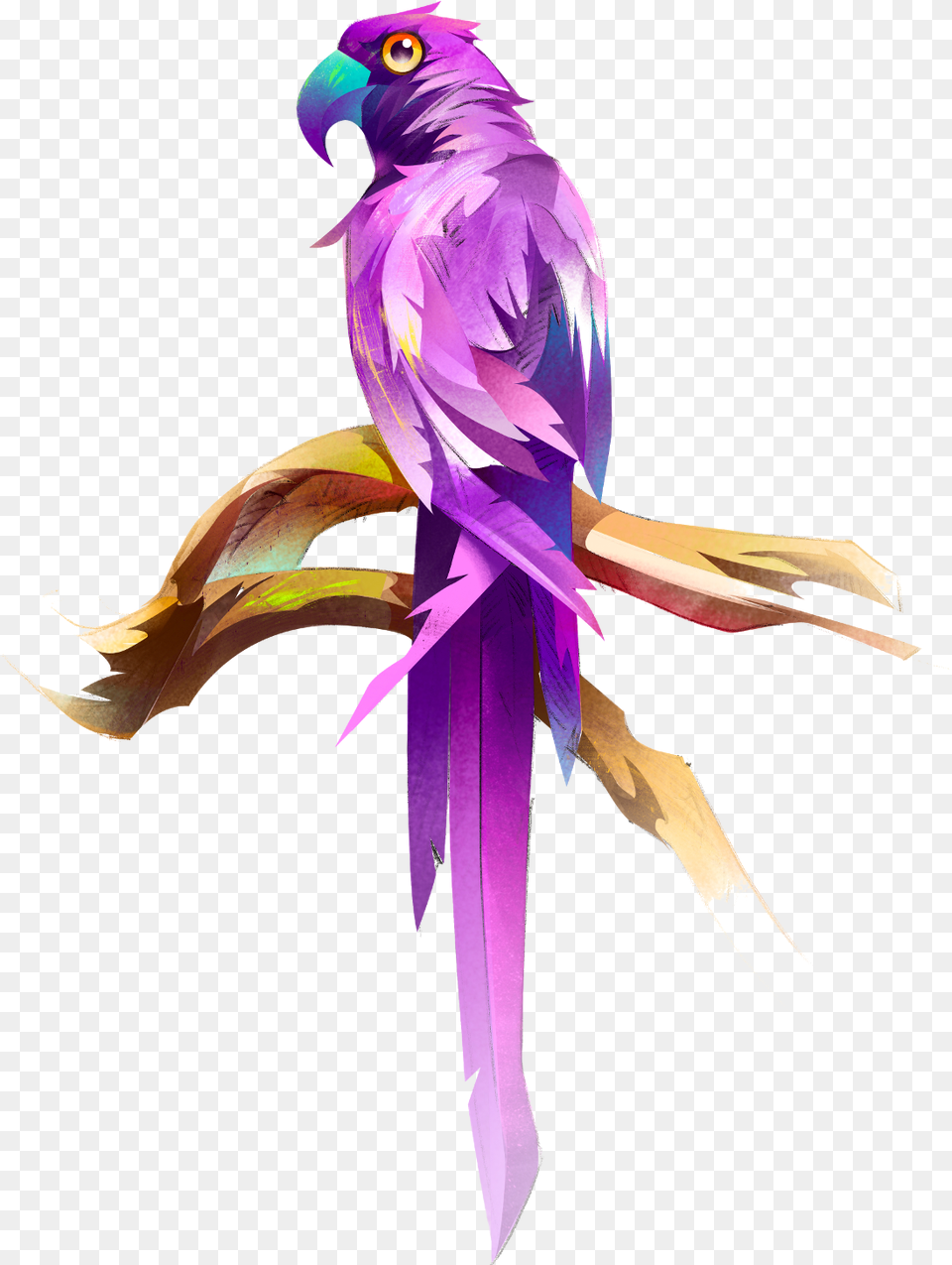 Animus Bird, Purple, Animal, Parrot Free Png