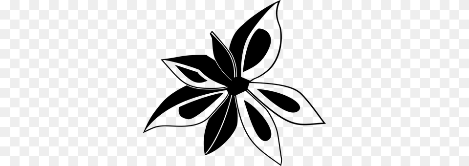 Anise Gray Png Image