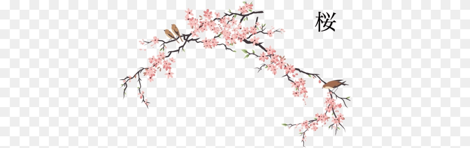 Anispacenet Namaniekoutei Cherry Blossom Drawing Watercolor Japanese Cherry Blossom Art, Cherry Blossom, Flower, Plant, Animal Free Png Download