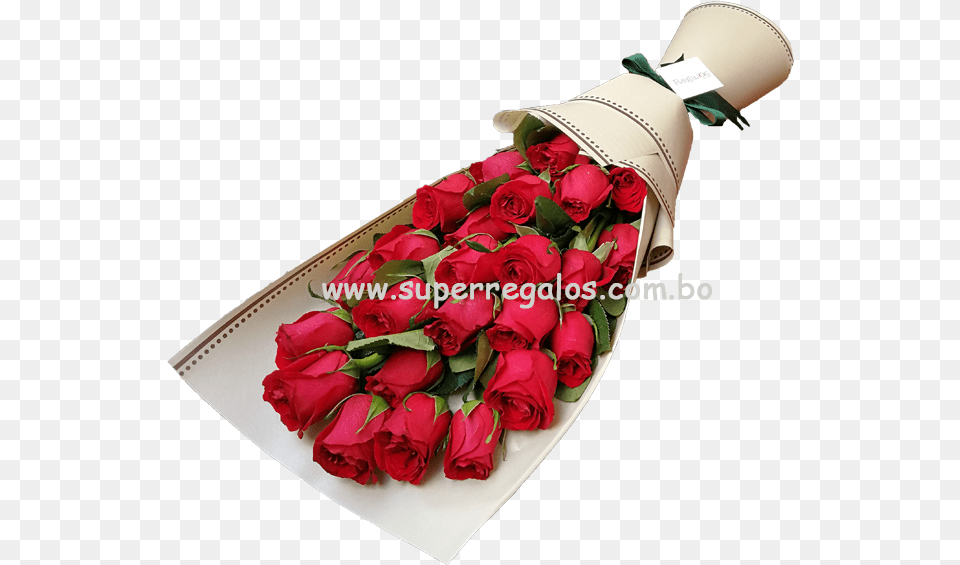 Aniversario Garden Roses, Rose, Plant, Flower, Flower Arrangement Png Image