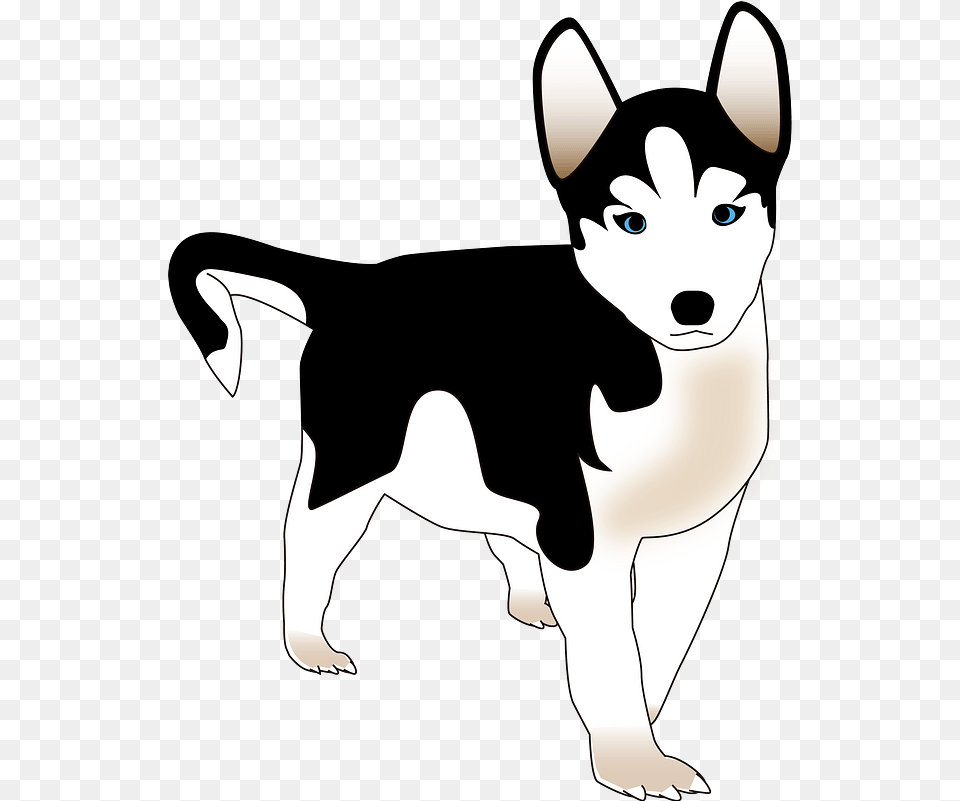 Anjing Husky Kartun Hitam Putih, Animal, Mammal, Pet, Dog Free Transparent Png