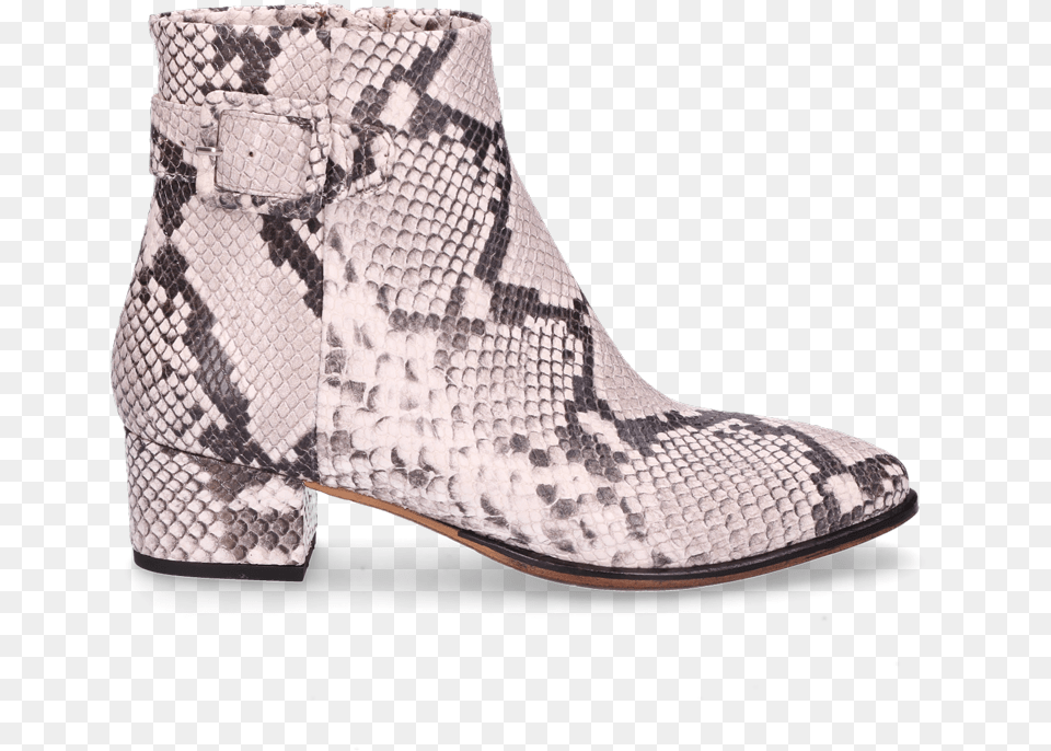 Ankle Boot Snake Print Off White Round Toe, Clothing, Footwear, Shoe Png