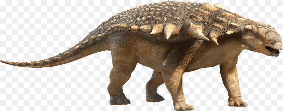 Ankylosaur, Animal, Dinosaur, Reptile, Electronics Free Png Download