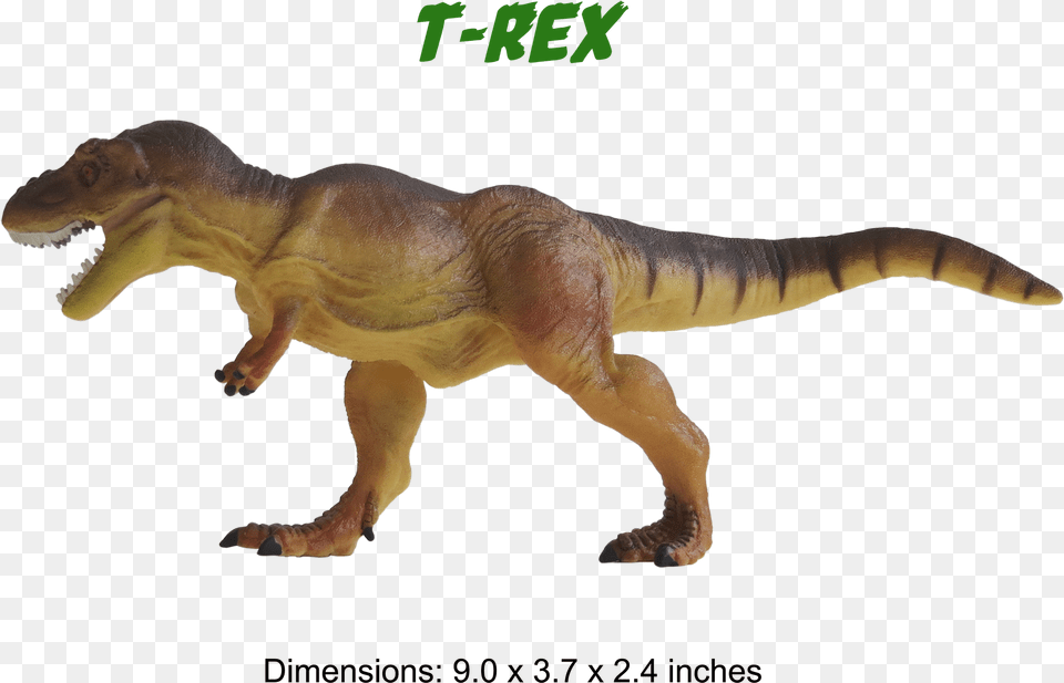 Ankylosaurus Model Triceratops Model T Rex Model Brachiosaurus Tyrannosaurus, Animal, Dinosaur, Reptile, T-rex Free Png Download