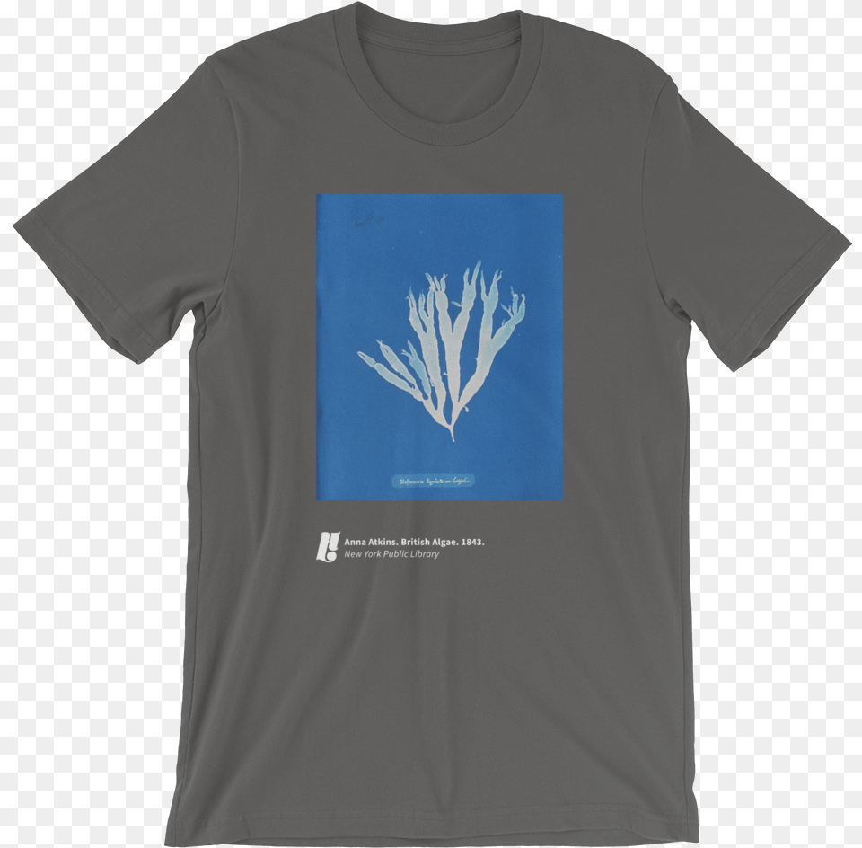 Anna Atkins 1 Mockup Front Wrinkled Asphalt Tres Butch T Shirt Uk, Clothing, T-shirt Png