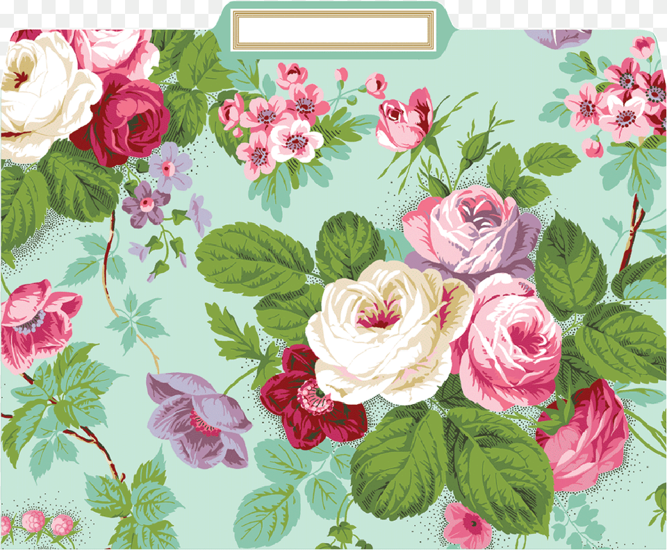Anna Griffin Rose File Folders, Art, Floral Design, Graphics, Pattern Png