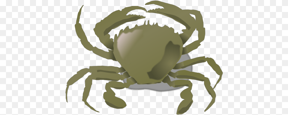 Annaleeblysse Blue Crab Svg Clip Animals Live Both In Land And Water, Animal, Food, Invertebrate, Sea Life Free Png