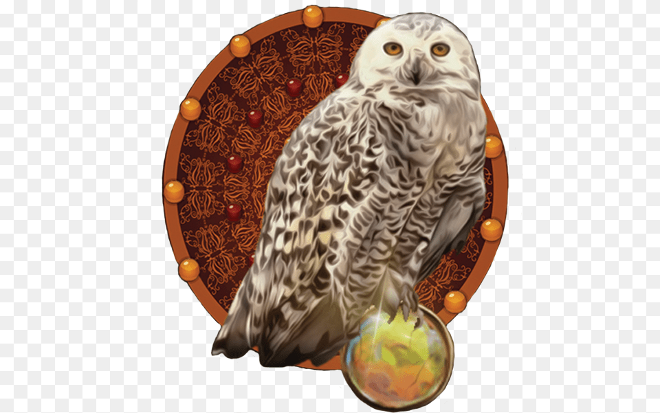 Annie Parnell Snowy Owl, Animal, Bird Free Png