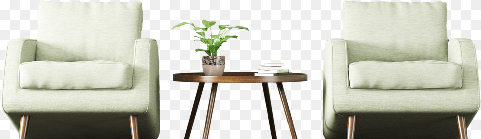 Anniversary, Furniture, Plant, Potted Plant, Chair Png