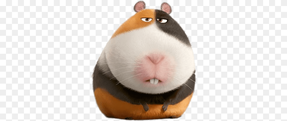 Annoyed Norman Secret Life Of Pets Guinea Pig Name, Animal, Mammal, Rat, Rodent Free Png Download