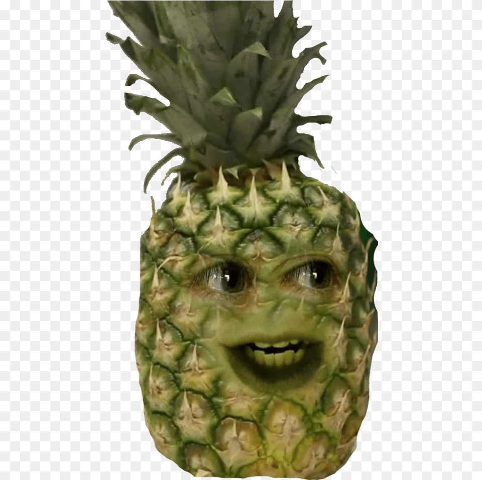 Annoying Pineapple Pineapple Full Size Download Annoying Pineapple, Food, Fruit, Plant, Produce Free Transparent Png
