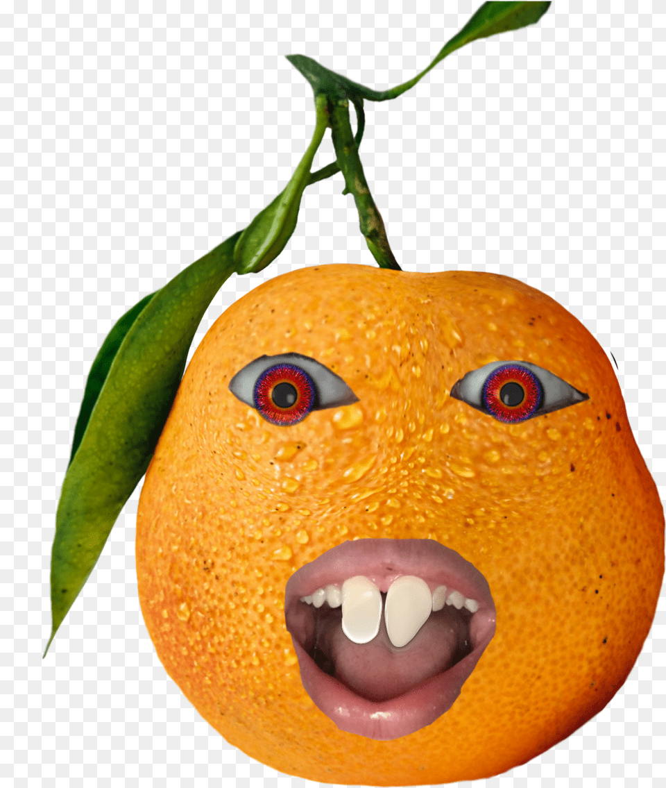 Annoyingorange Annoying Sticker Clementine, Citrus Fruit, Food, Fruit, Orange Png Image