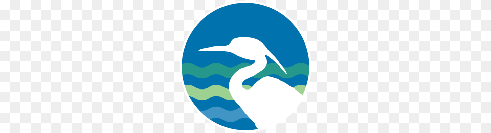Annual Fund, Animal, Bird, Crane Bird, Waterfowl Png