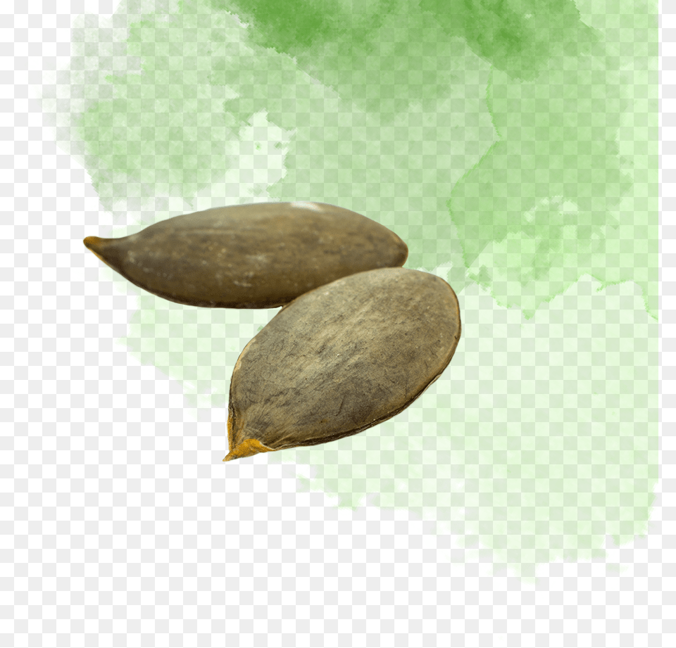 Annual Plant, Food, Produce, Grain, Seed Png Image