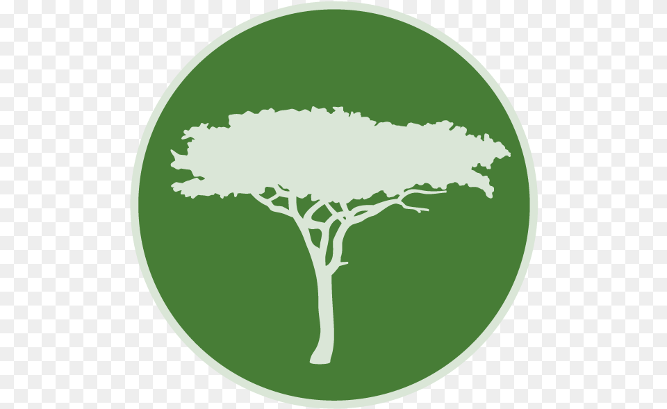 Annual Report 2019 U2014 Maliasili Tree, Plant, Outdoors, Nature, Disk Free Png