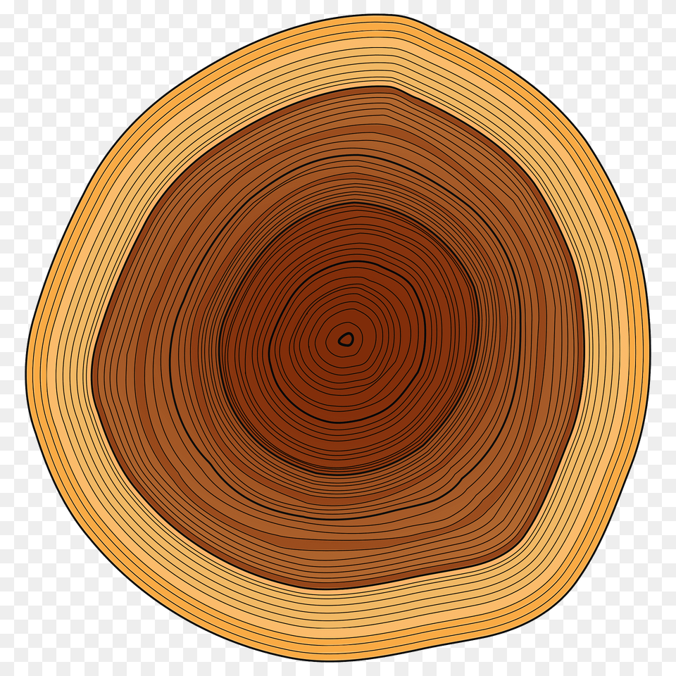 Annual Rings Clipart, Lumber, Plywood, Wood, Plant Free Transparent Png