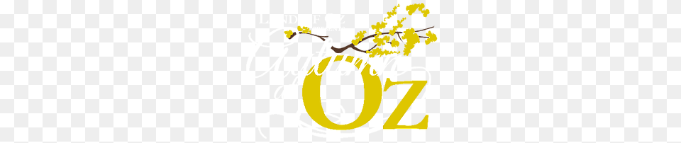 Annual Two Day Family Event To Celebrate Everything Wizard Of Oz, Person, Musical Instrument, Text Free Png