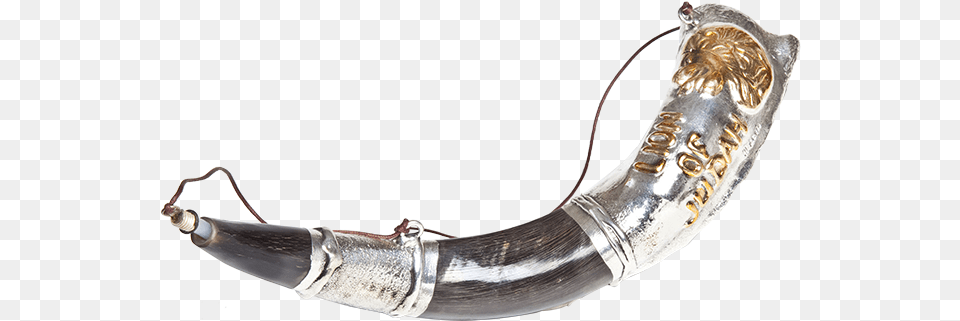 Anointing Shofar Archives Horn, Brass Section, Musical Instrument, Smoke Pipe Free Png Download