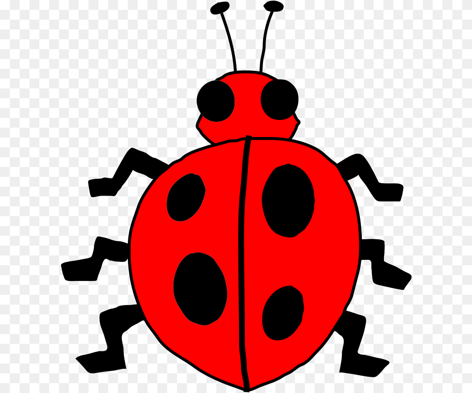 Anonymous Architetto Coccinella, Animal Png Image