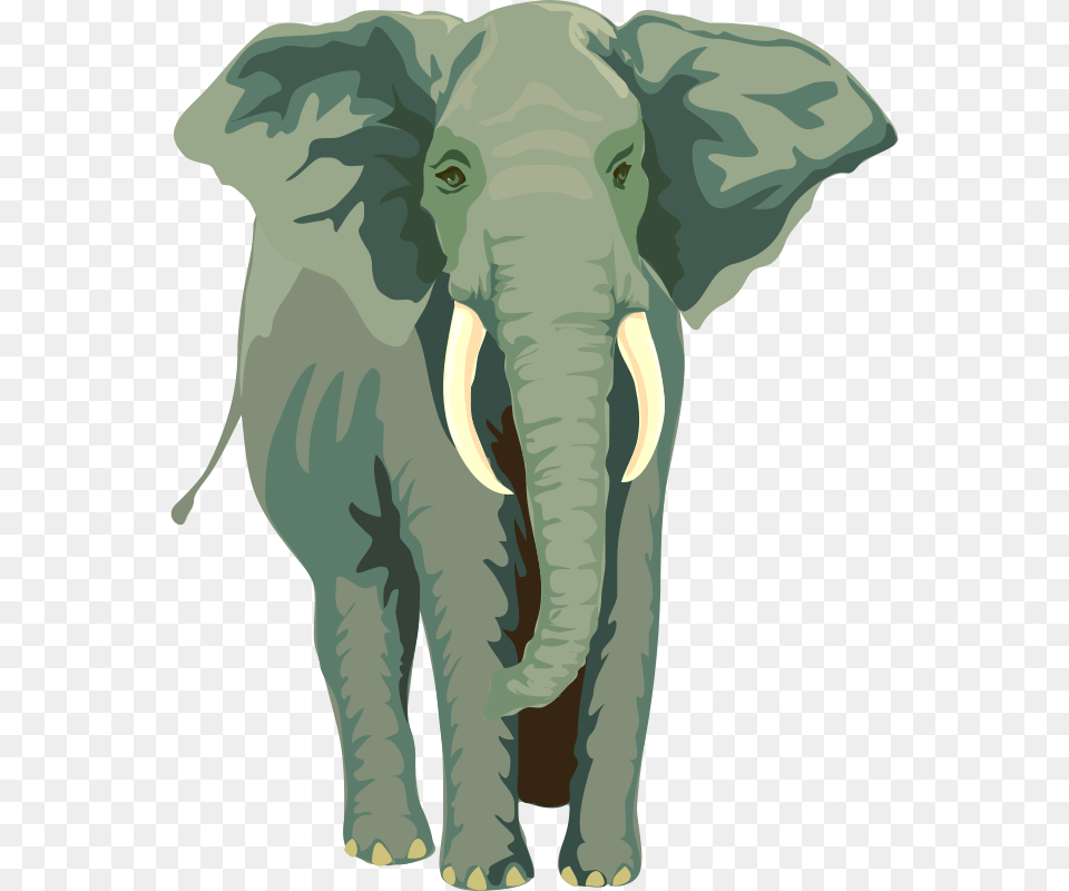 Anonymous Architetto Elefante, Baby, Person, Animal, Mammal Png
