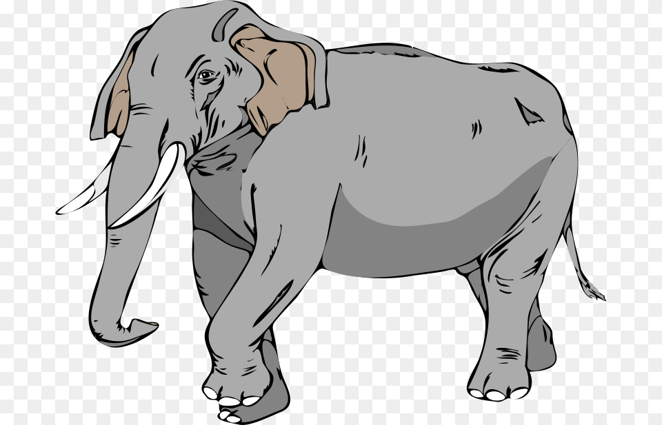 Anonymous Architetto Elefante, Person, Animal, Mammal, Wildlife Png Image