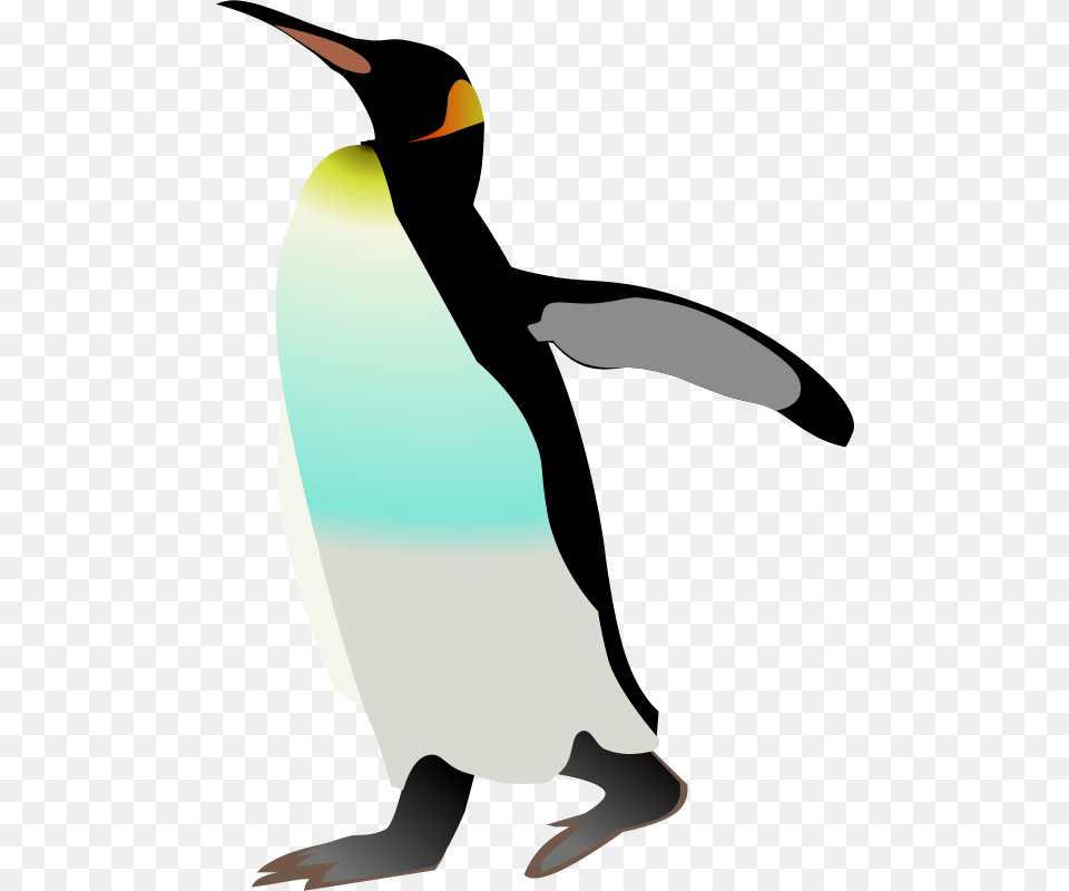 Anonymous Emperor Penguin, Animal, Bird, King Penguin, Fish Free Png