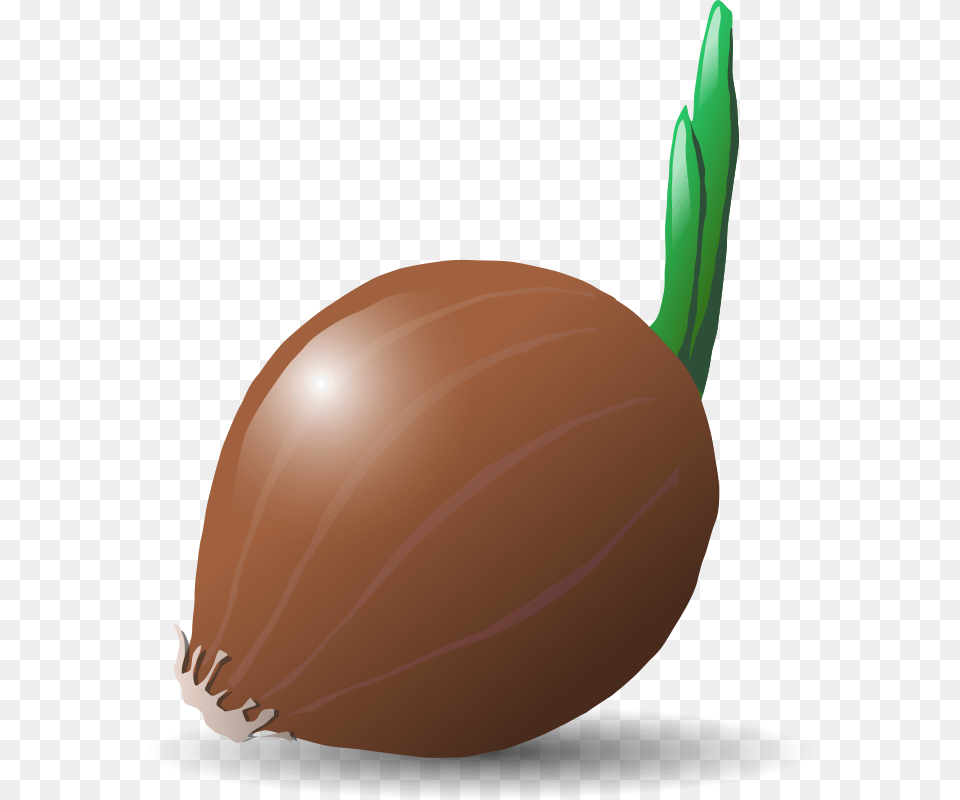 Anonymous Onion, Food, Produce, Plant, Vegetable Free Png