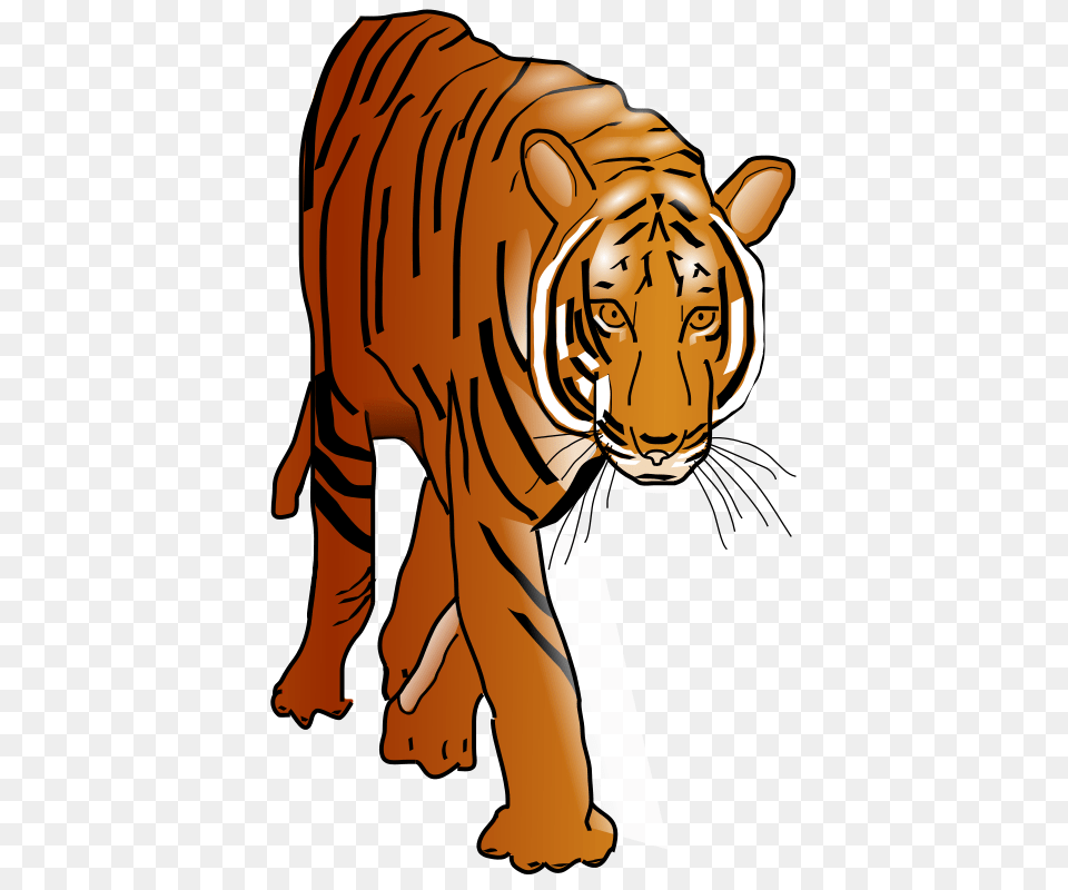 Anonymous Tiger, Person, Animal, Mammal, Wildlife Free Transparent Png