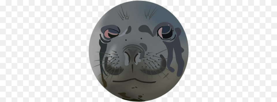 Another Crying Seal Meme Redrawn I Like Doing This Crying Seal, Animal, Mammal, Sea Life, Sea Lion Free Transparent Png