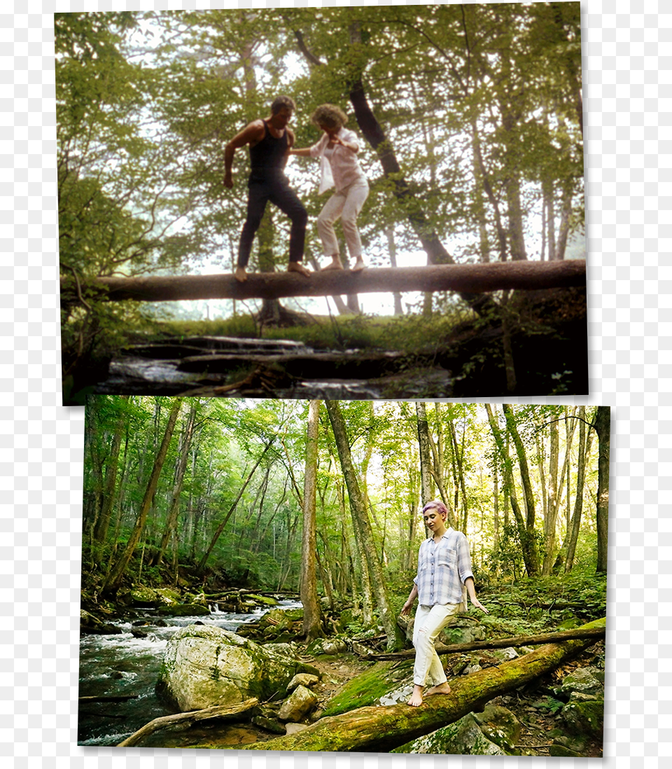 Another Dancing Routine Using Nature As A Learning Dirty Dancing On The Log Scene, Woodland, Outdoors, Person, Photography Png