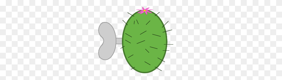 Another Droid From Rattles Workshop, Cucumber, Food, Plant, Produce Free Transparent Png