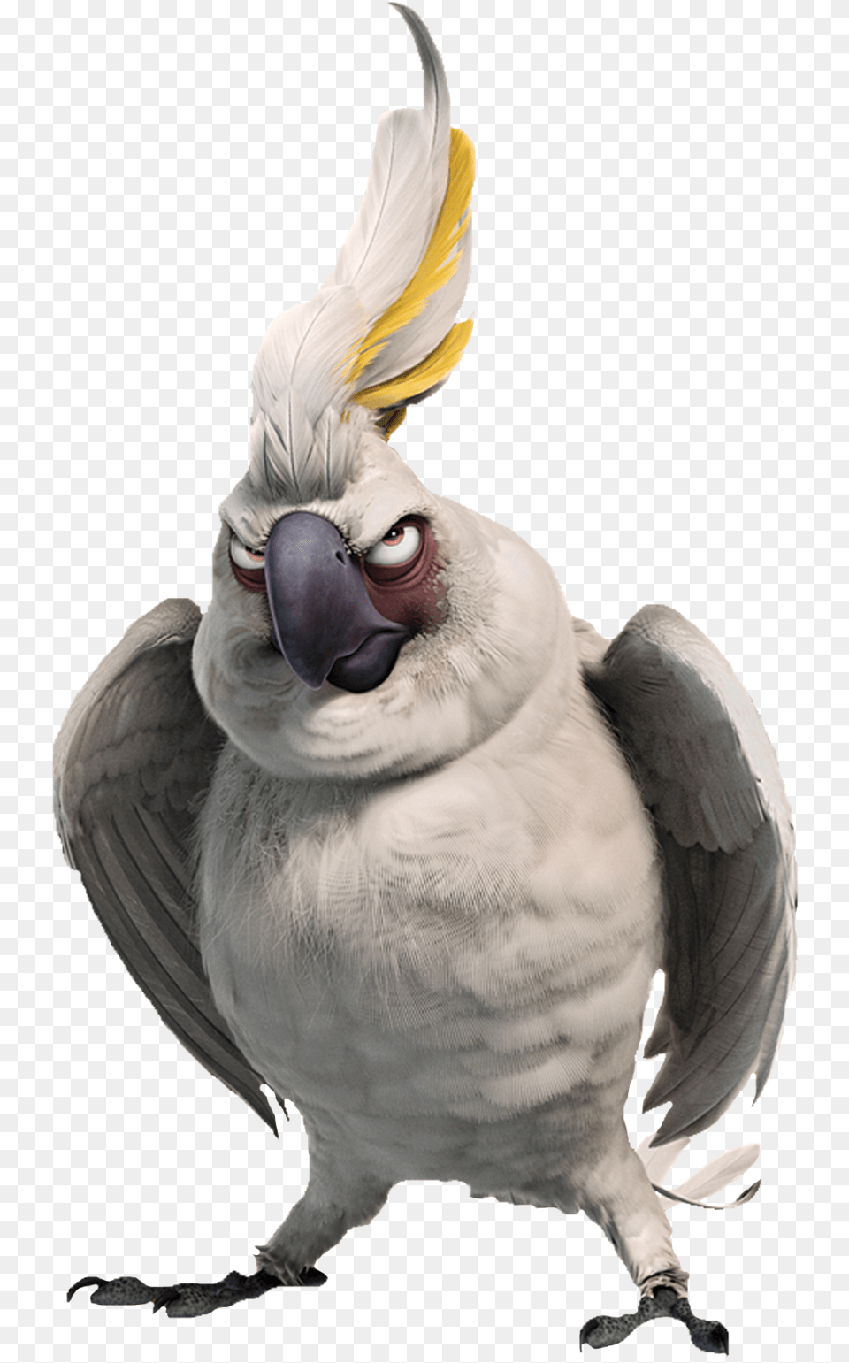 Another Great Set Of Transparent Clip Arts, Animal, Bird, Parrot, Cockatoo Png Image