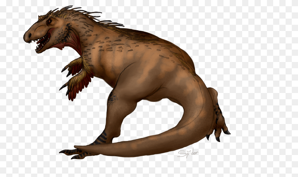 Another Look, Animal, Dinosaur, Reptile, T-rex Free Png