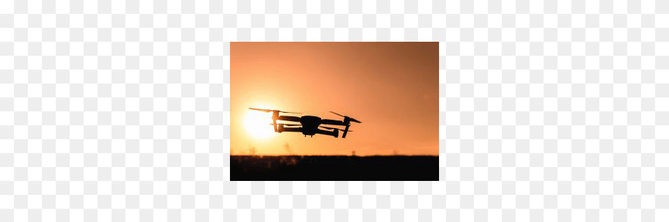 Another Technology Sunset The Sunset May Be Coming Sooner Than, Animal, Bird, Flying, Aircraft Png Image