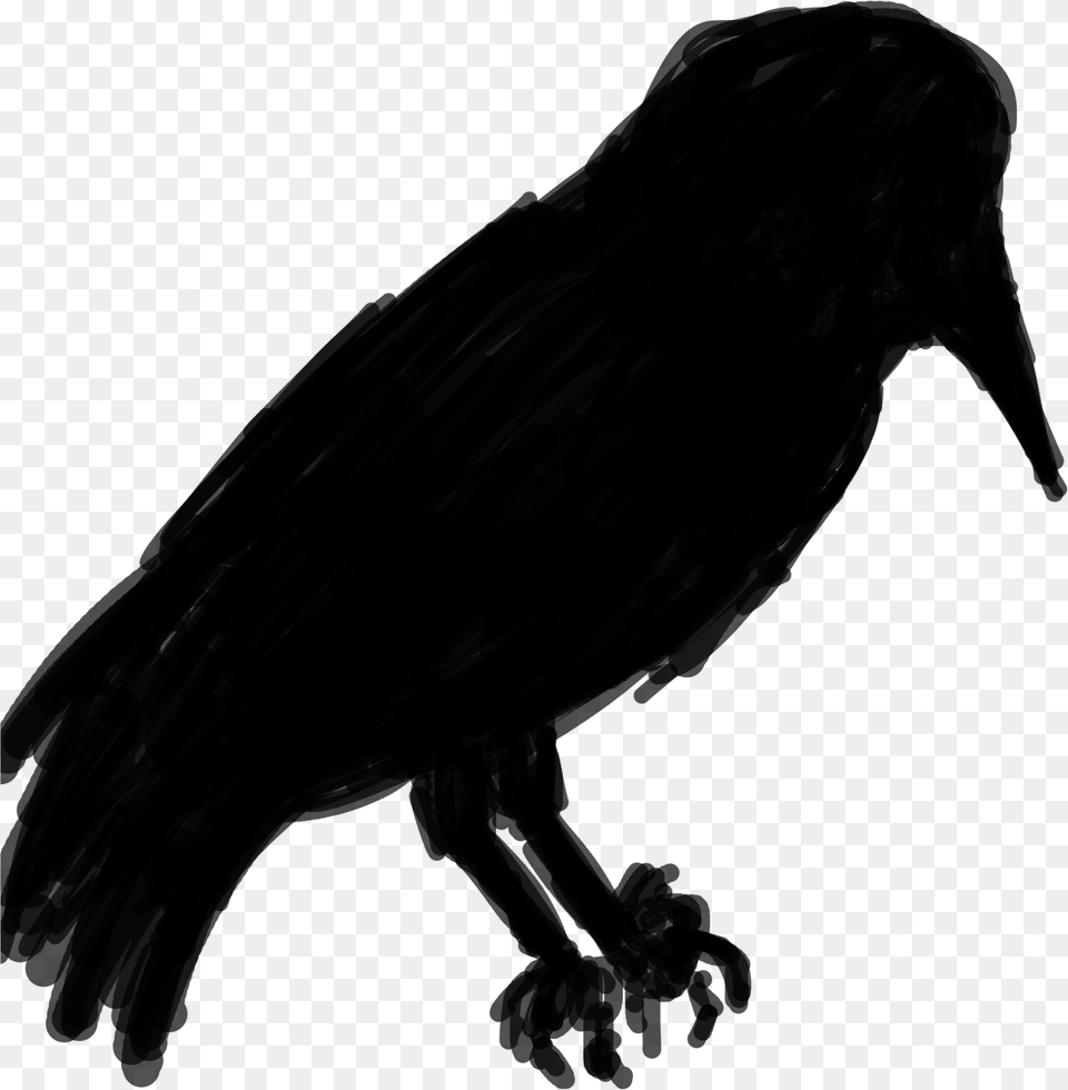 Another Tip I Learnt In Uni Is Drawing Silhouettes Fish Crow, Gray Png